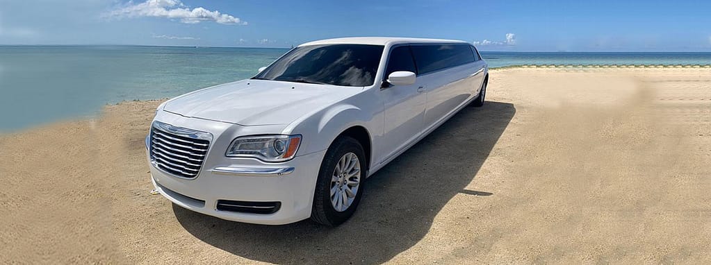 Unveiling the Luxury: Elevate Your Experience with VIP Limousine Tour