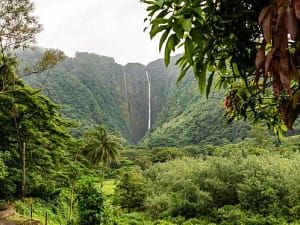 Full Day Limousine CircIe Island Tour of Oahu