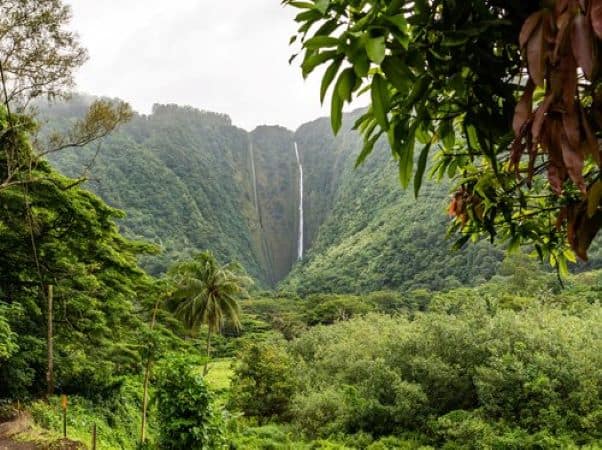 Full Day Limousine CircIe Island Tour of Oahu